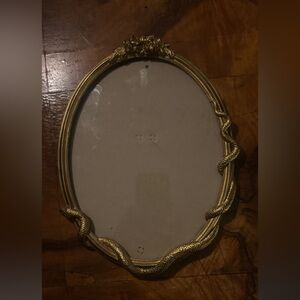 Golden Picture Frame Snakes and Roses